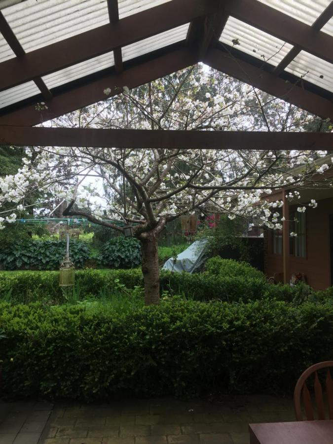 Sherwood Park Bed And Breakfast Somerville Exteriör bild