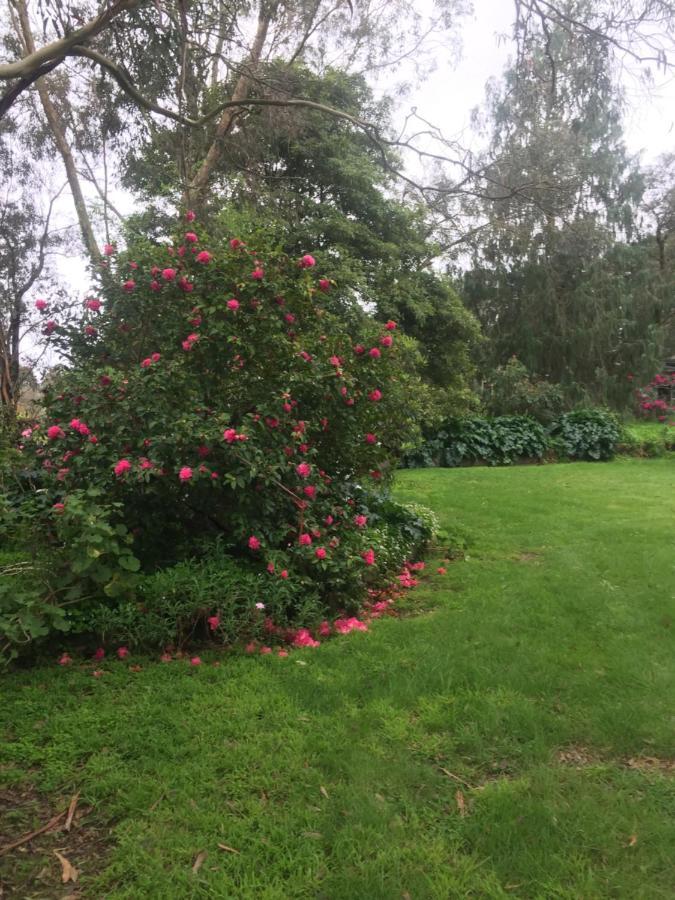 Sherwood Park Bed And Breakfast Somerville Exteriör bild