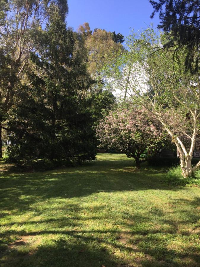 Sherwood Park Bed And Breakfast Somerville Exteriör bild